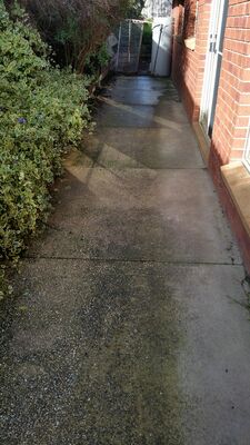 Path clean before - Clean My Roof Ballarat